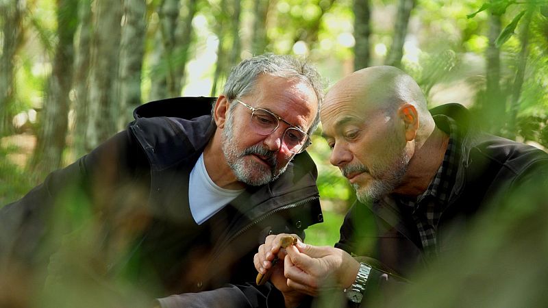 El señor de los bosques - Bosque de Fervenza - ver ahora
