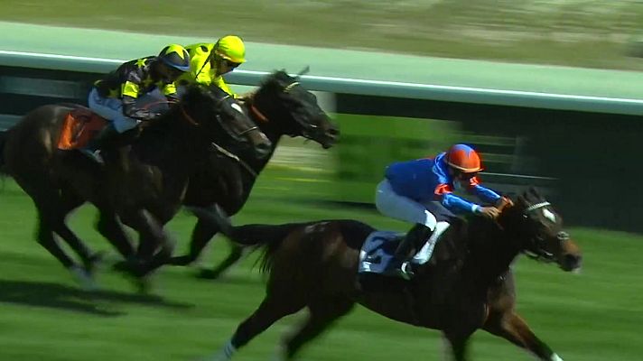 Hípica - Circuito nacional carreras de caballos (Hip. La Zarzuela)