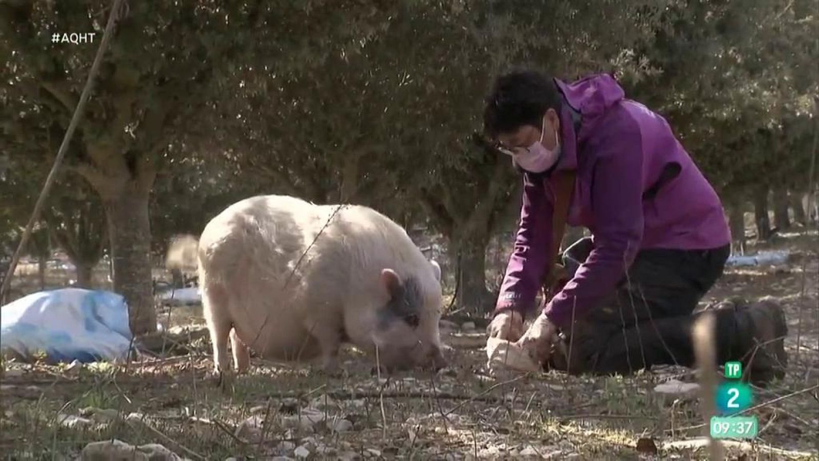 Recursos naturales contra la despoblación - Aquí hay trabajo | Ver
