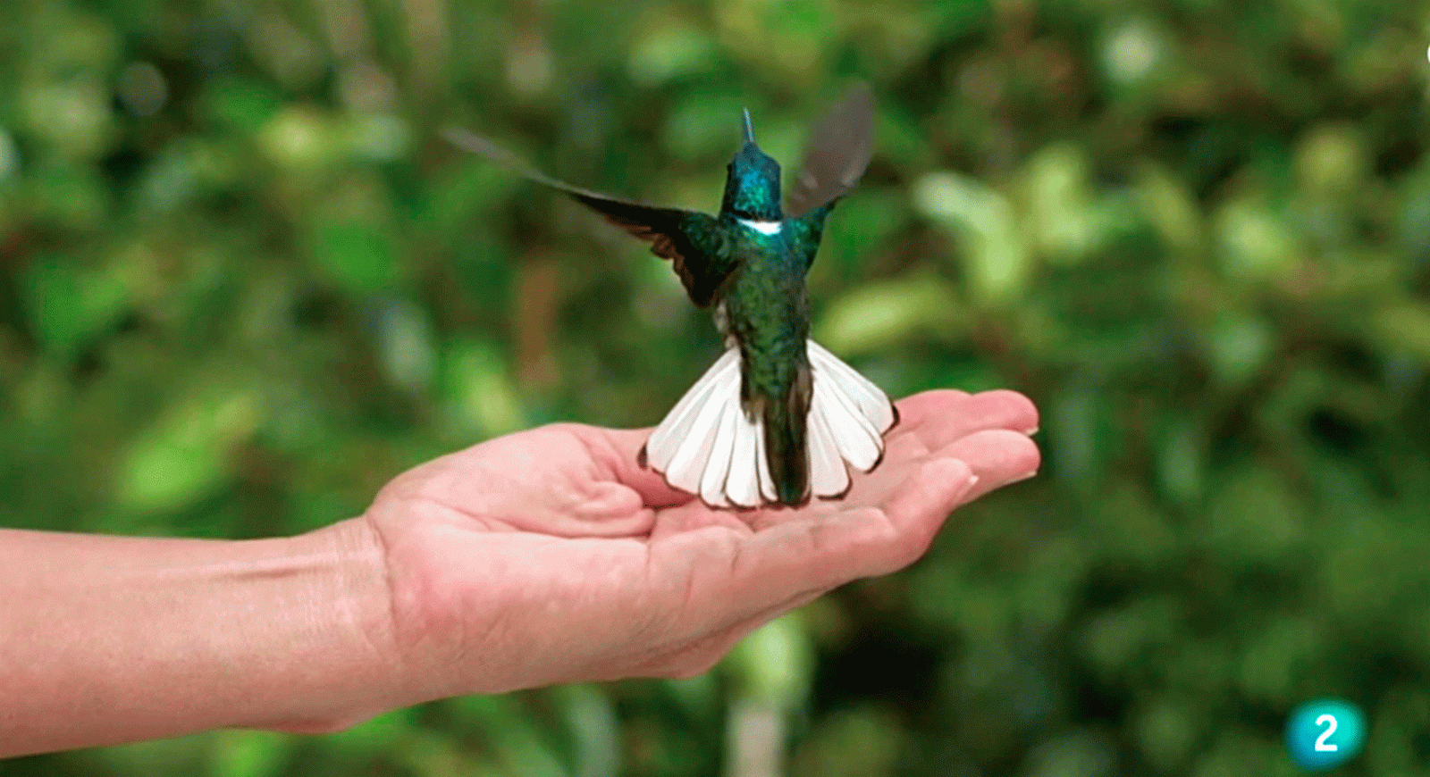 videografías videocreación arte #AventuraSaberArte