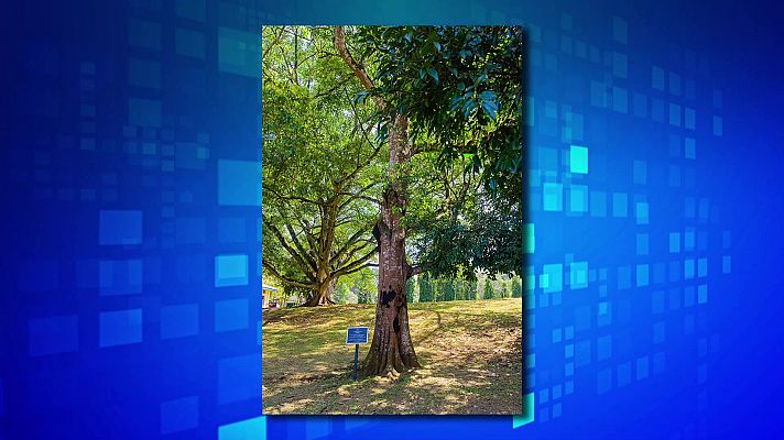 Saber y ganar - Saber y ganar - 15/03/21