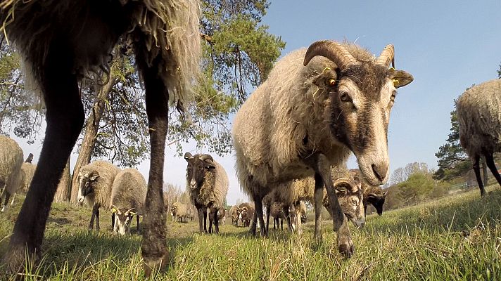 Somos Documentales - Lagos mágicos