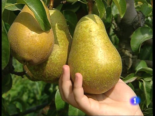 Informativo Telerioja - Informativo Telerioja - 09/09/09