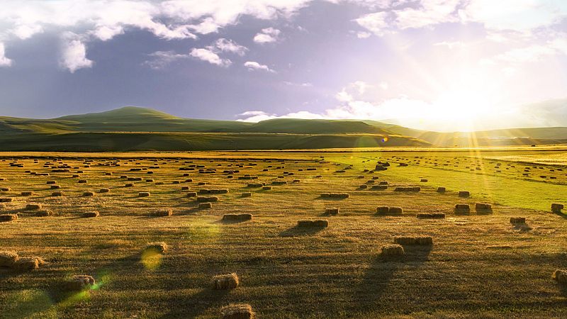 Jornada estable en gran parte del país y fuerte viento en varias zonas - Ver ahora