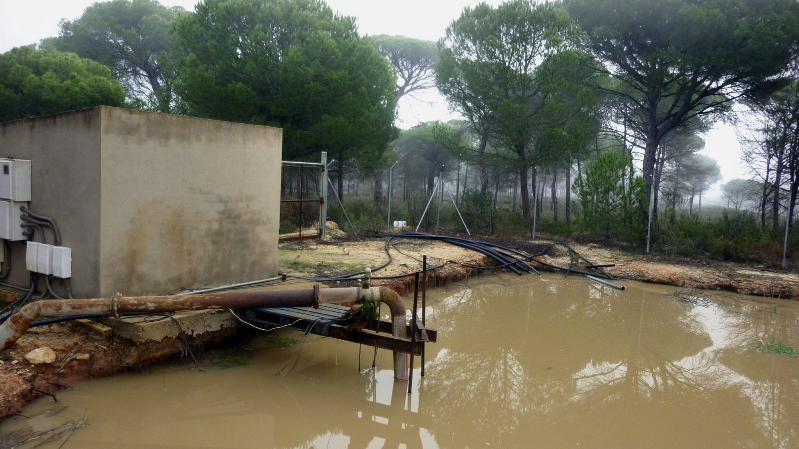 Arranca el juicio contra el robo de agua en Doñana | Ver