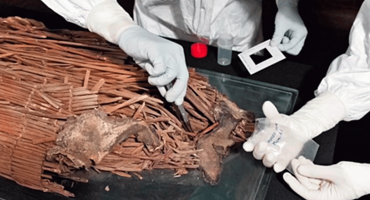 La aventura del Saber - ¿Cómo se estudia el pasado aborigen de las Islas Canarias?