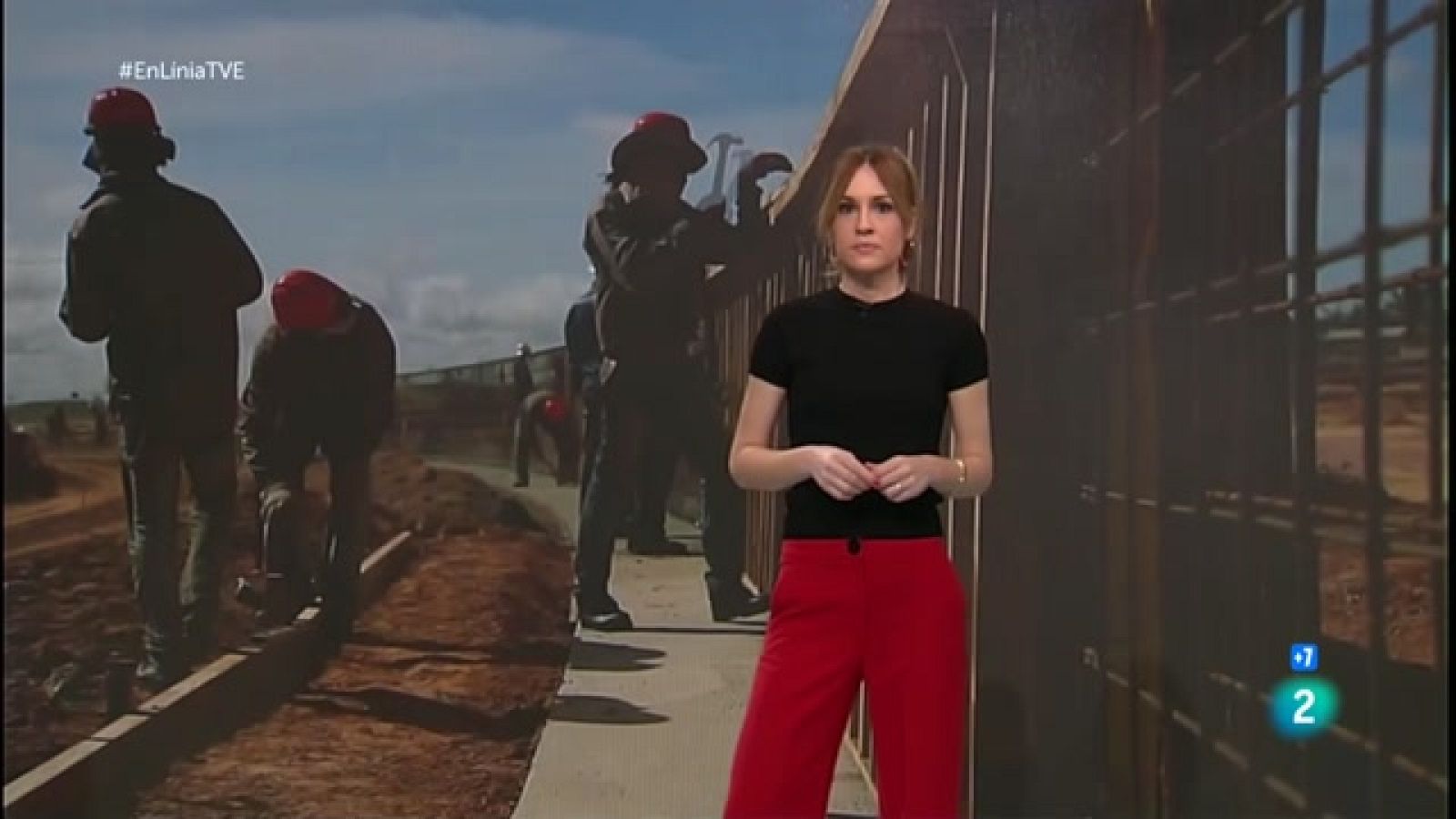 A En Línia parlem de sortir de la presó, la geobiologia i 20 anys de Viquipèdia