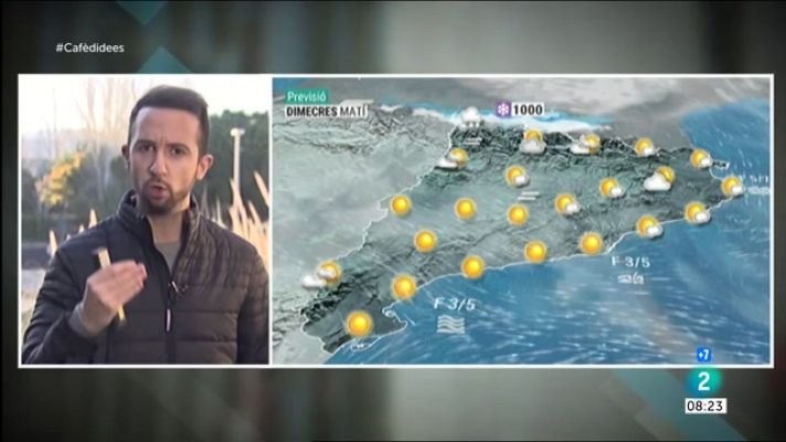 Cafè d'idees - Bonança al migdia, ventades i neu al Pirineu