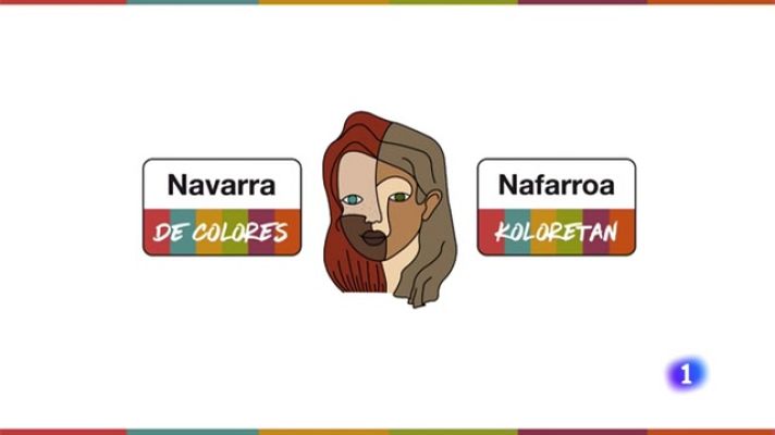 Telenavarra - Navarra contra el racismo