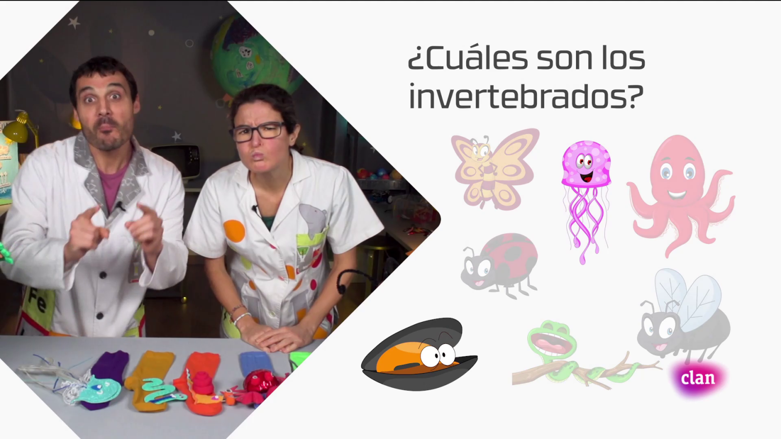 Aprendemos en Clan - CIENCIAS NATURALES - Invertebrados - RTVE.es - Aprendemos en Clan | Ver