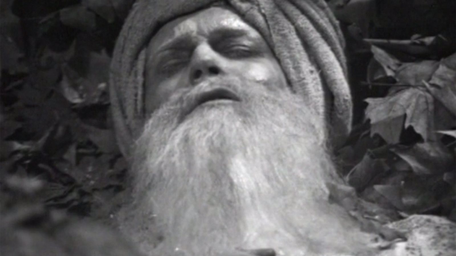 A través de la niebla - El parpadeo de Vishnu - A través de la niebla | Ver