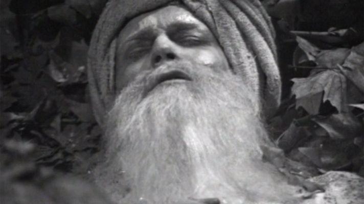 A través de la niebla - Capítulo 7