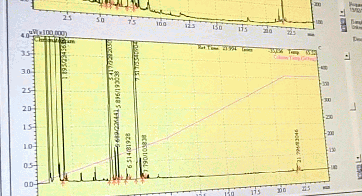 La aventura del Saber - ¿Por qué dura tan poco el sabor de los chicles?