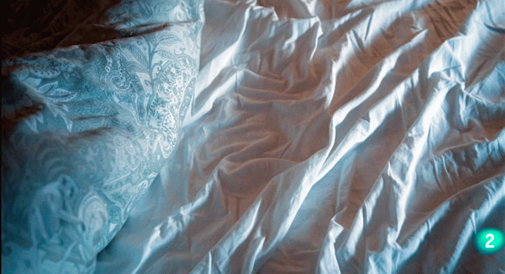 La aventura del Saber - Boek visual: Antonio Segura León