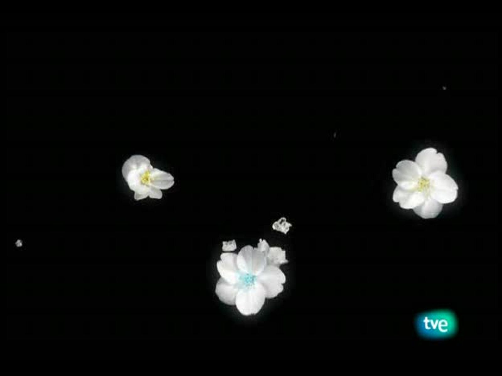 El jardín de los sueños - El Jardín de los Sueños | Ver