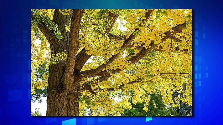 Saber y ganar - Saber y ganar - 18/03/21