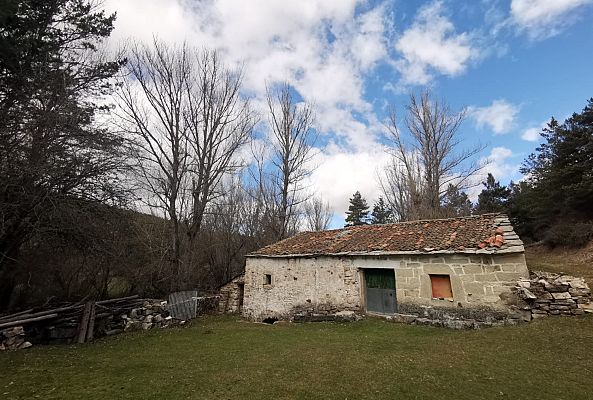 España Directo - España Directo - Molinero: recordamos su oficio