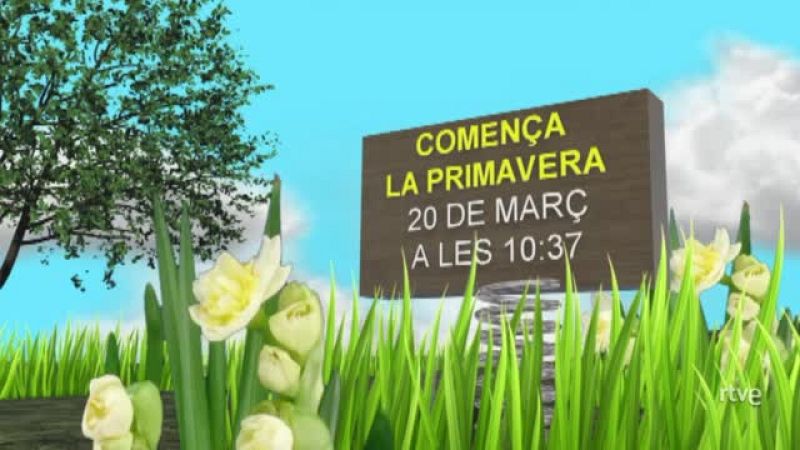 El dissabte 20 de març arriba la primavera | Veure