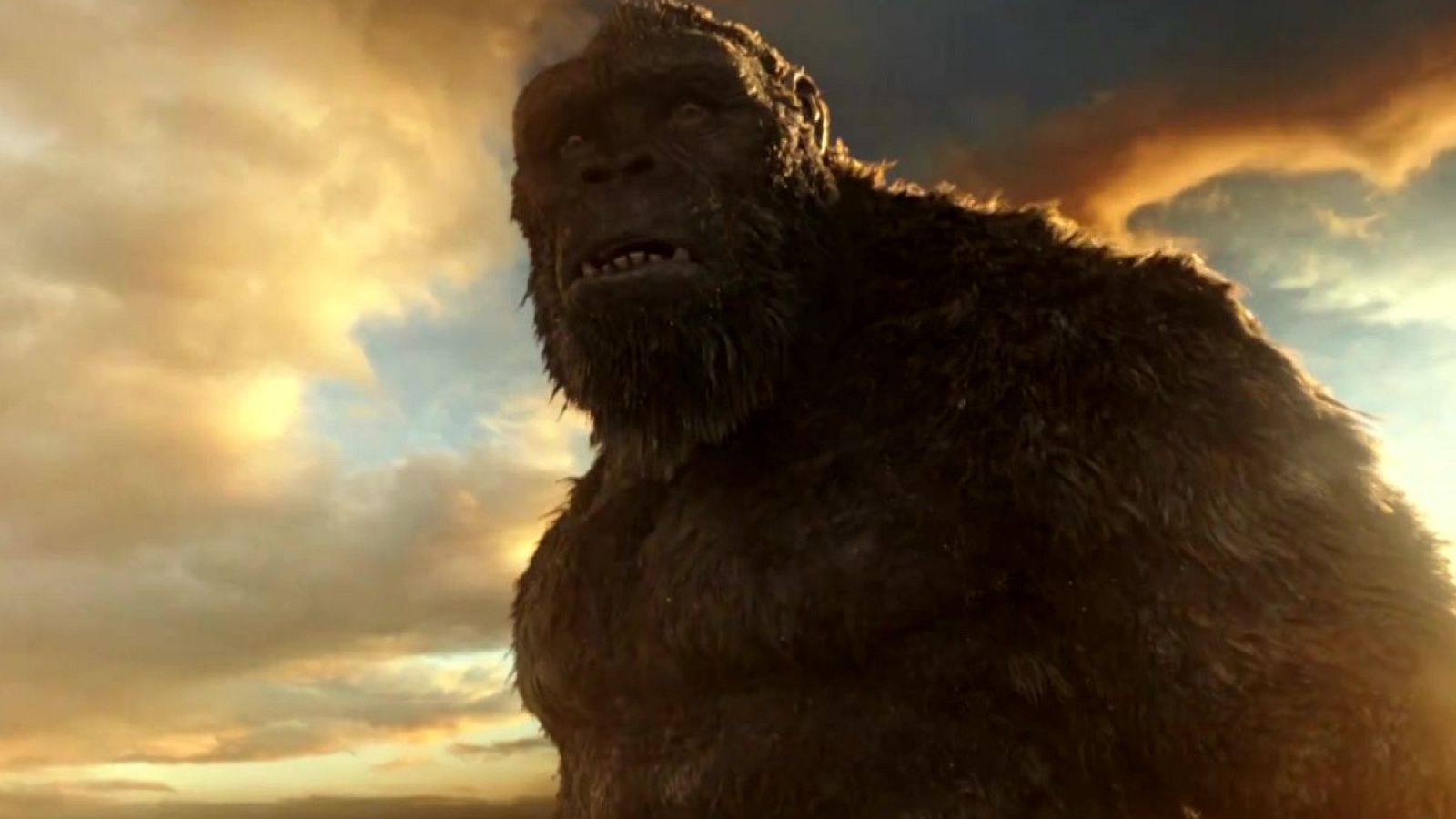 Godzilla vs Kong, dos criaturas clásicas frente a frente- RTVE.es | Ver