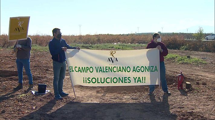 Agrosfera - Agrosfera - 20/03/21