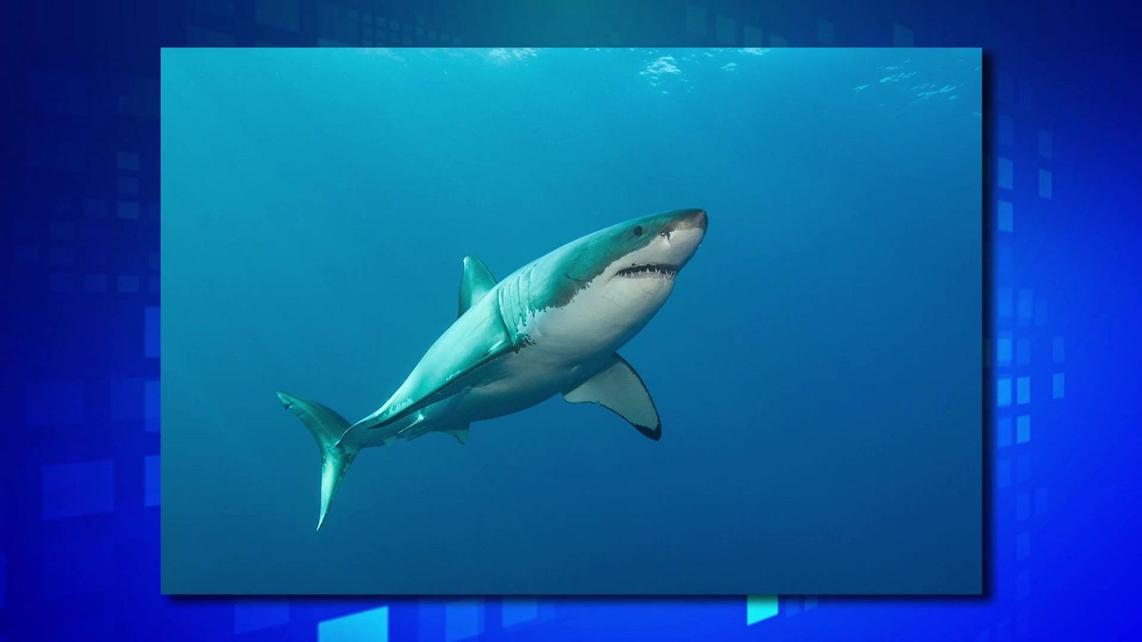 Saber y ganar. Edición de fin de semana - 20/03/21 - ver ahora