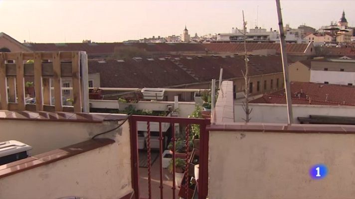 Telediario 1 - Huertos urbanos