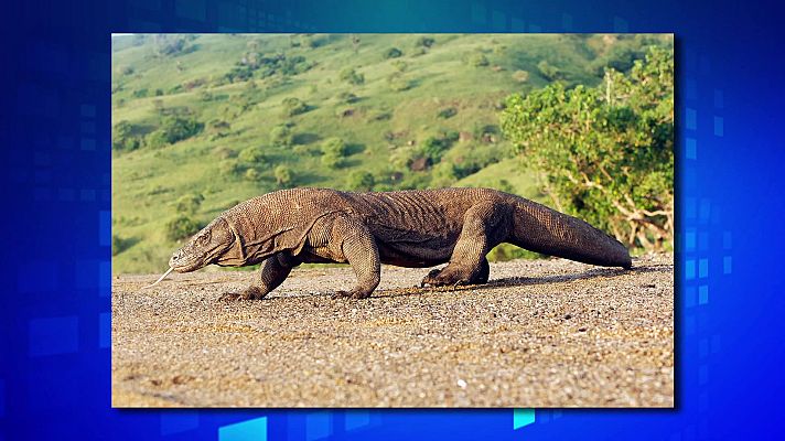 Saber y ganar - Saber y ganar. Edición de fin de semana - 21/03/21