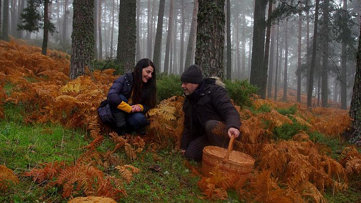 El señor de los bosques - Cañada Juan LLanos