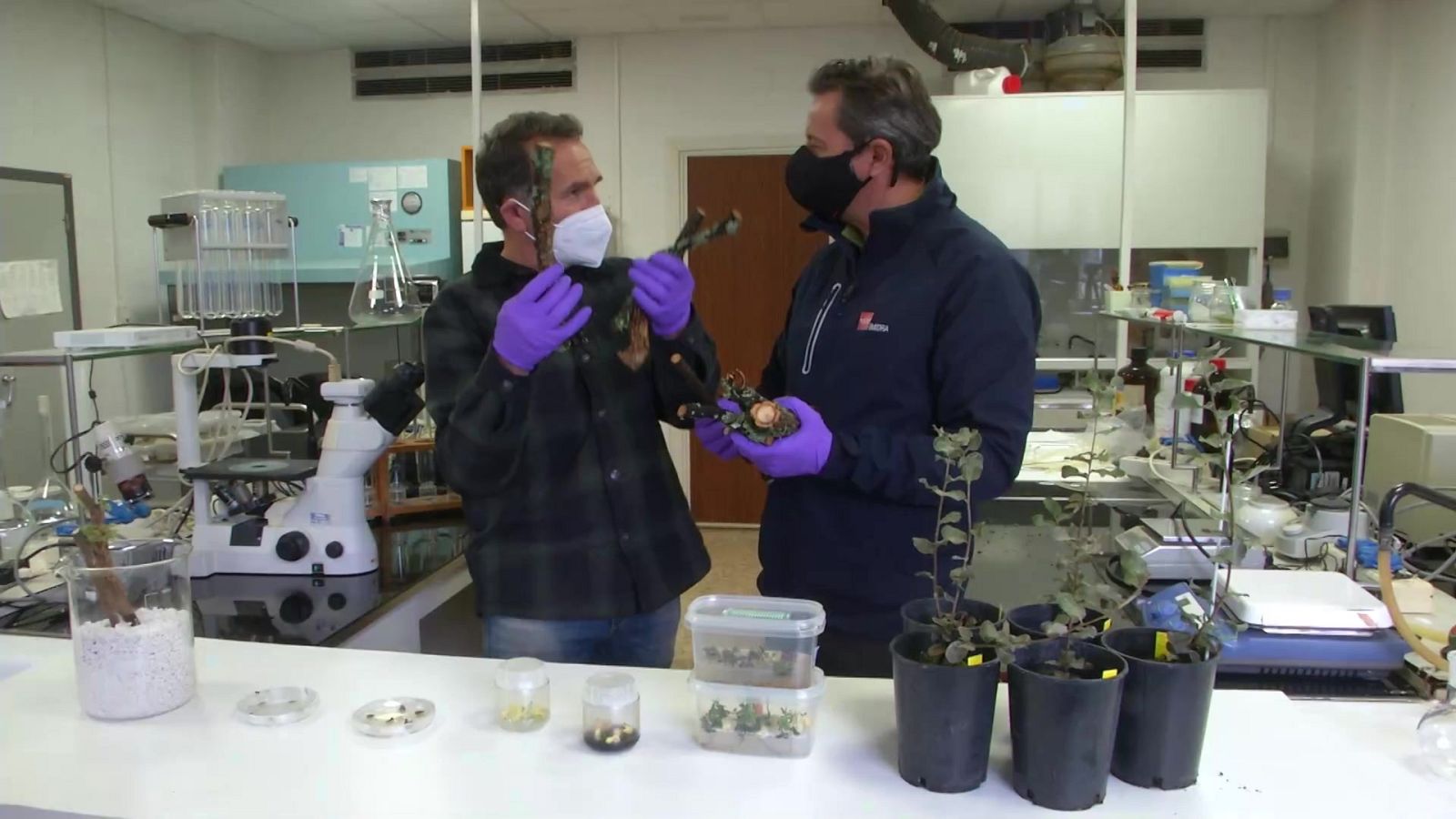 Aquí la Tierra - 21/03/21 - ver ahora