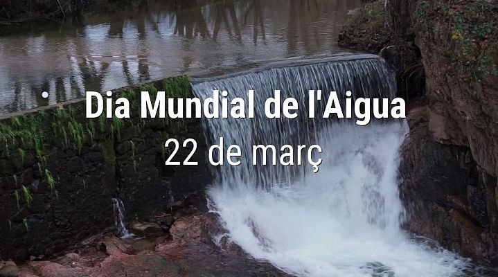 L'Informatiu - Dia Mundial de l'Aigua