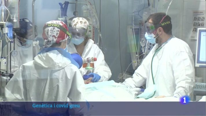 L'Informatiu - Una resposta inflamatòria elevada augmenta els pacients de Covid-19 a les UCI