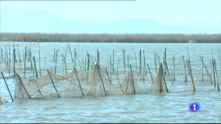 L'informatiu - Comunitat Valenciana - L'Informatiu Comunitat Valenciana 1 - 22/03/21