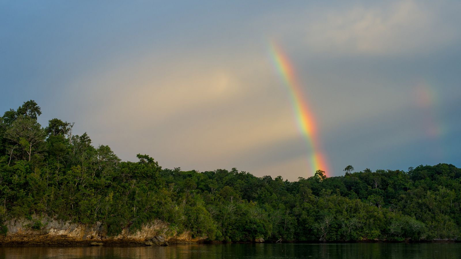 Indonesia salvaje - Episodio 2: Los mundos perdidos de Papúa - ver ahora