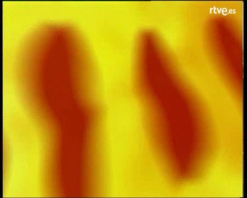 50! anys - L'onze de Sant Boi. 25 anys