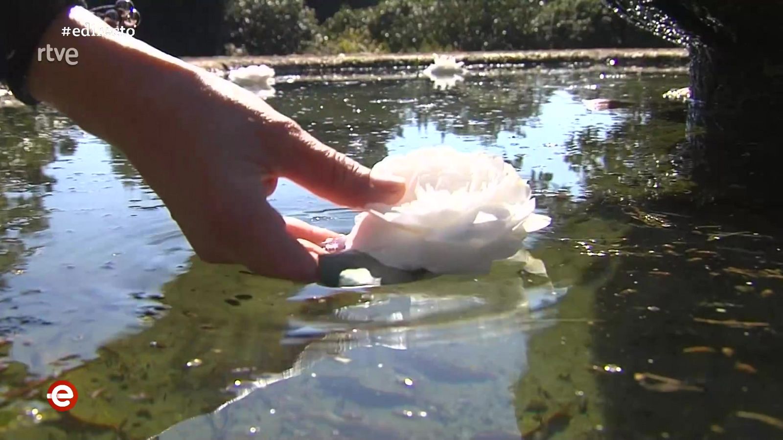 España Directo - 23/03/21 - ver ahora