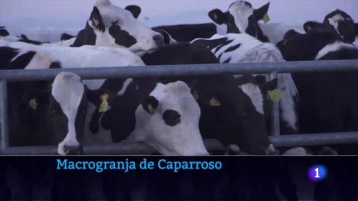 Telenavarra - Macrogranja de Caparroso