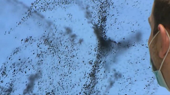 Telediario 1 - Millones de nanorrobots para tratar tumores