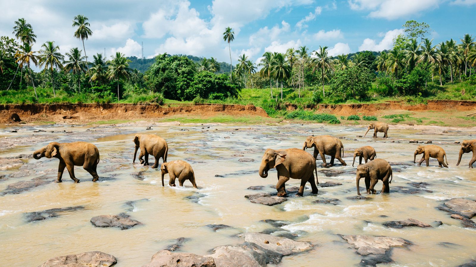Otros documentales - Descubrir: Sri Lanka - Ver ahora