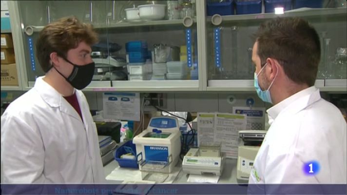 L'Informatiu - Milions de nanorrobots en ratolins vius per a tractar els tumors