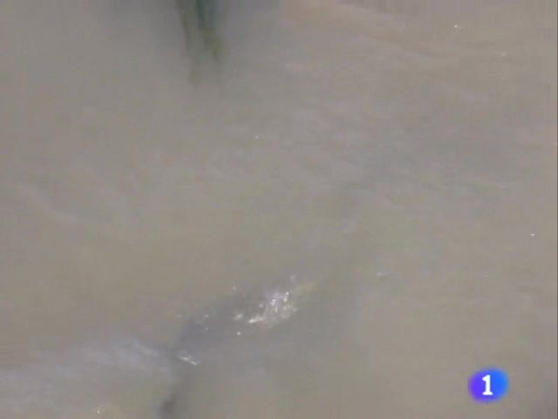 Noticias Aragón. (10/09/09)