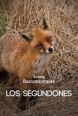 Somos Documentales - Los segundones