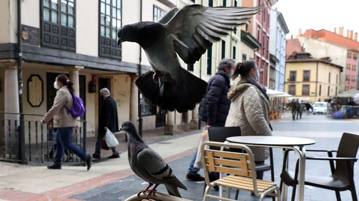 El tiempo - Intervalos de nubes medias y altas y  de evolución diurna