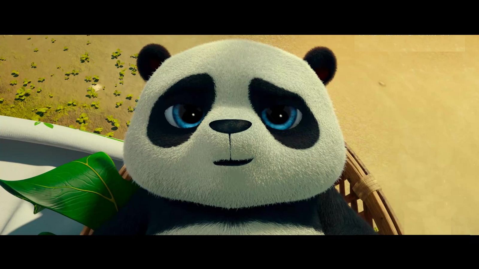 Operación Panda - Cine Clan | Ver