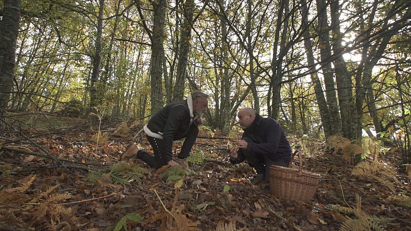 El señor de los bosques - Villafranca del Bierzo
