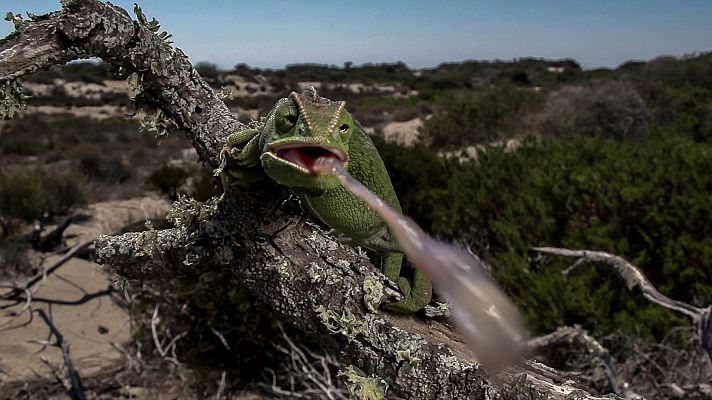 Los secretos del Mediterráneo - La vida entre tres continentes