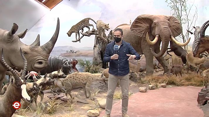 España Directo - España Directo - 29/03/21