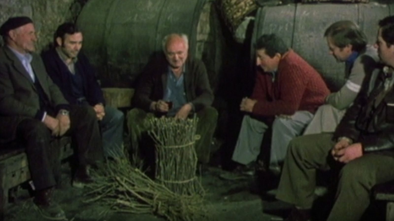 Protagonista el vino - La tierra del vino - Programas y Concursos en el Archivo de RTVE | Ver