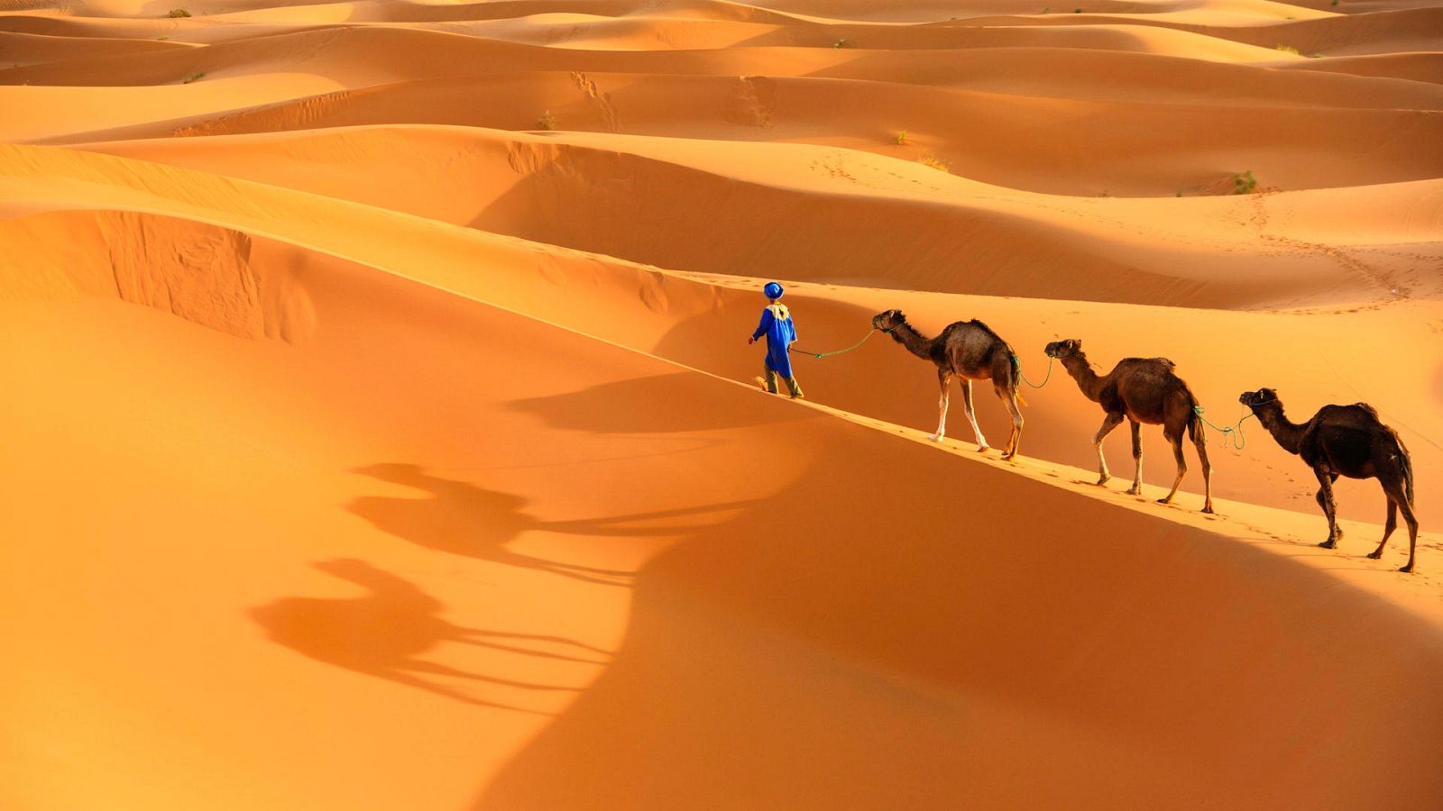 Otros documentales - Nacido explorador: Marruecos, los últimos nómadas - ver ahora