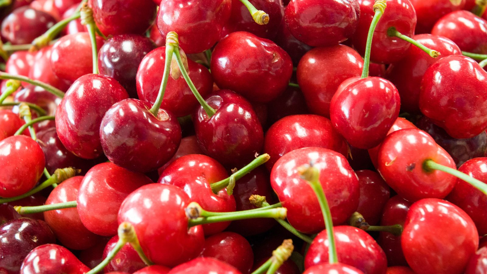 Somos documentales - Jerte, vida salvaje en el valle de los cerezos - ver ahora