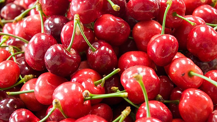 Somos Documentales - Jerte, vida salvaje en el valle de los cerezos